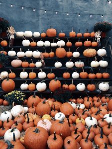 many pumpkins
