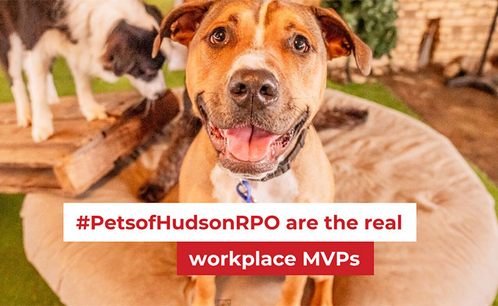 Pets of Hudson RPO